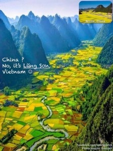 12744168_10153582897724125_6908679655041704741_n